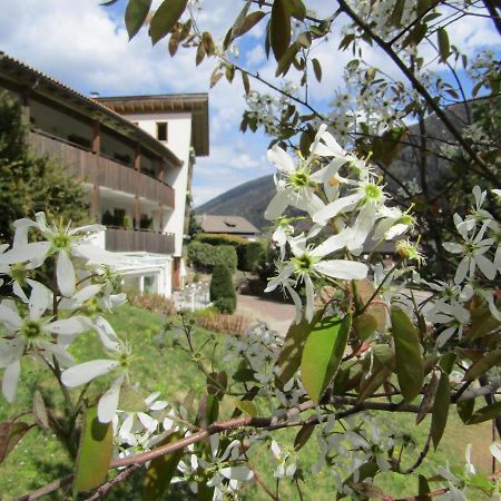 Natur Pur Hotel Unterpichl Ulten Eksteriør bilde