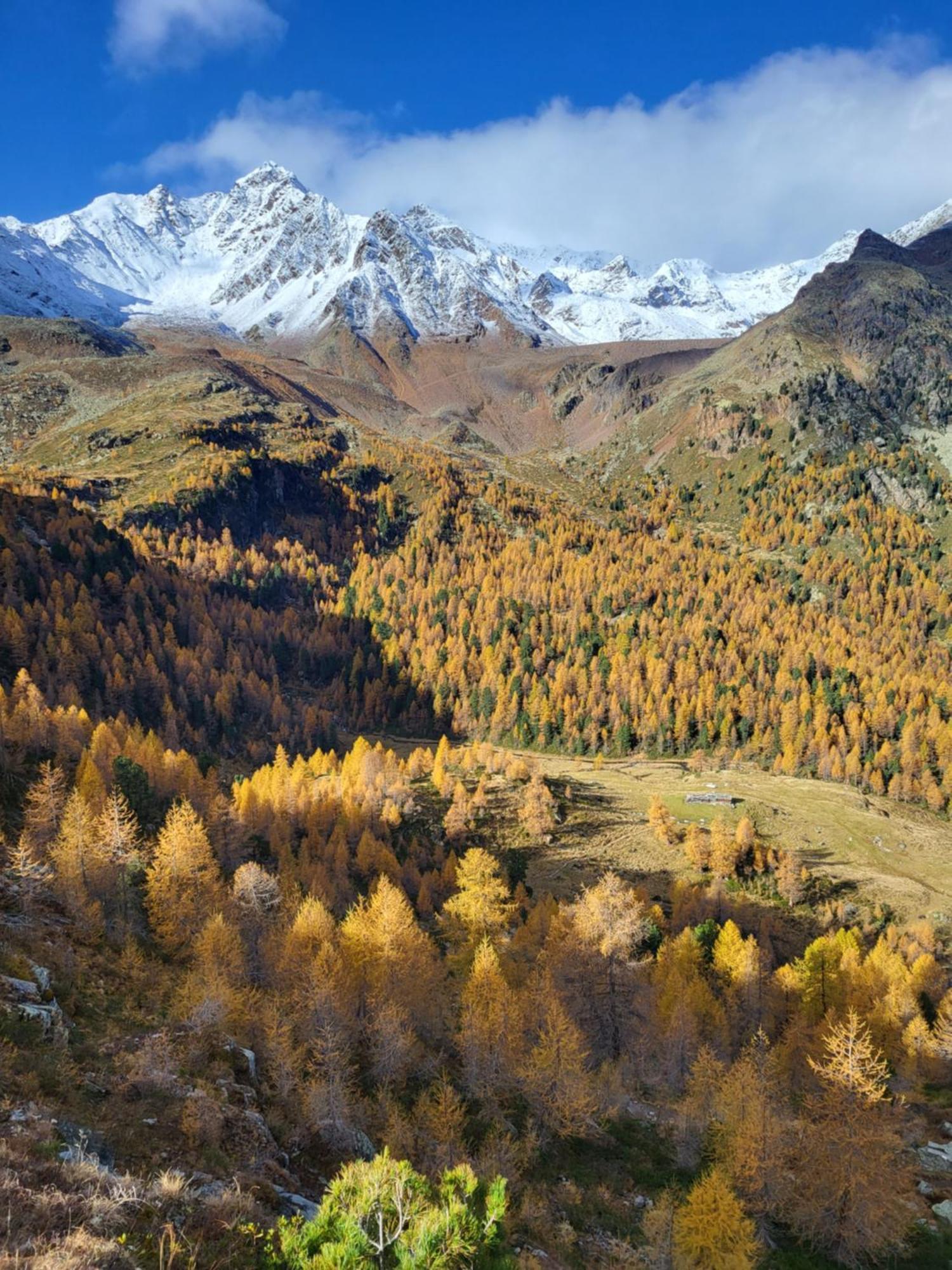 Natur Pur Hotel Unterpichl Ulten Eksteriør bilde
